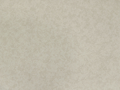 Обои Elysium Серия Полюс фон Е33301